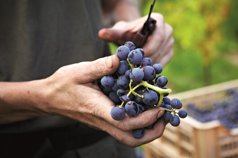 September in Tuscany: a Time of Renewal and Beginnings