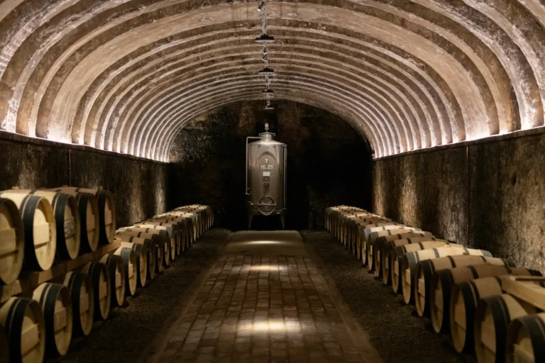 September in Tuscany: a Time of Renewal and Beginnings